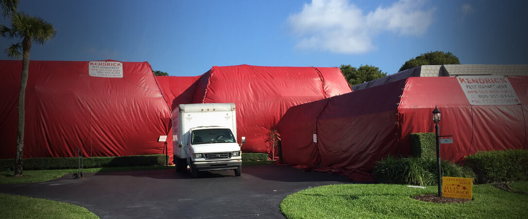 Kendrick Pest Management Tent Fumigation